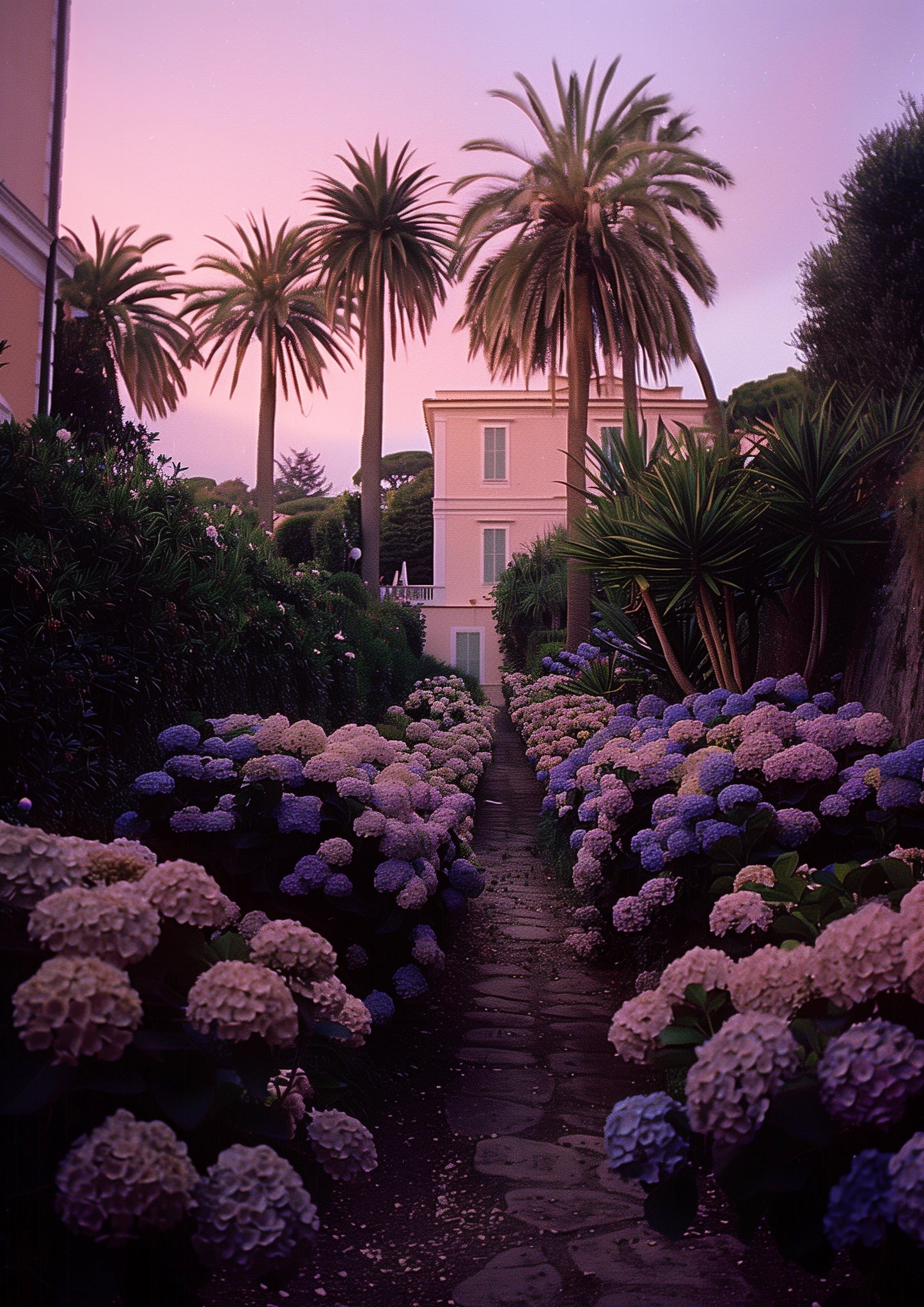 En bädd av hortensior